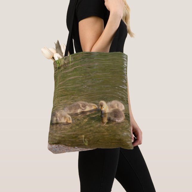Canada Goose Gosling Babies Wildlife Tasche (Von Nahem)