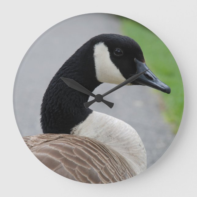Canada goose große wanduhr (Vorderseite)
