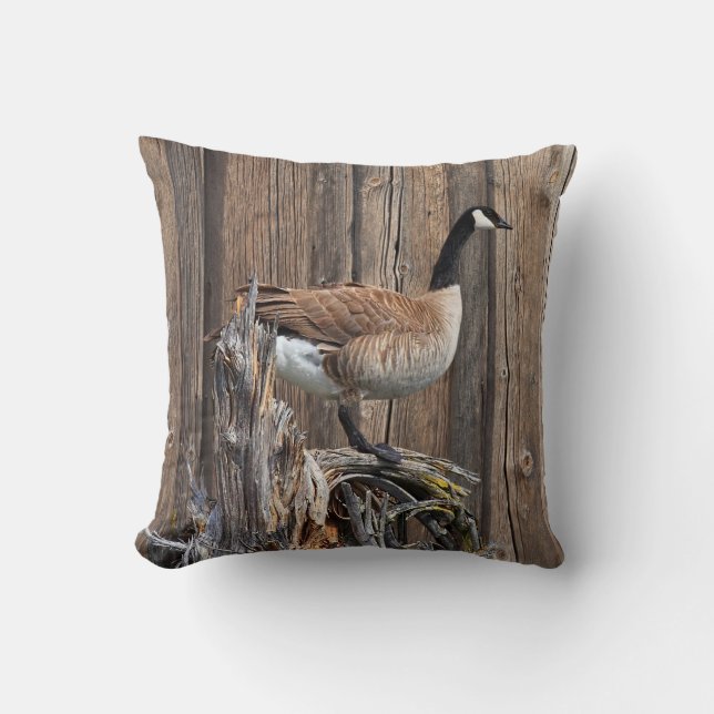 CANADA GOOSE KISSEN (Vorderseite)