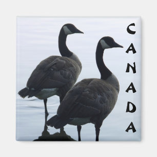Canada Goose Magnet Canada Souvenir Kühlschrankmag