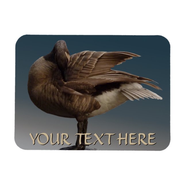 Canada Goose Magnet Canada Souvenir Kühlschrankmag (Horizontal)