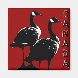 Canada Goose Magnet Canada Souvenir Kühlschrankmag