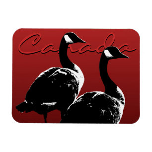 Canada Goose Magnet Canada Souvenir Kühlschrankmag