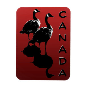 Canada Goose Magnet Canada Souvenir Kühlschrankmag