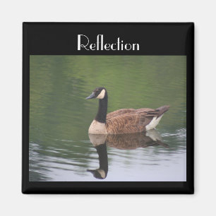 Canada Goose Reflection Inspiration Magnet