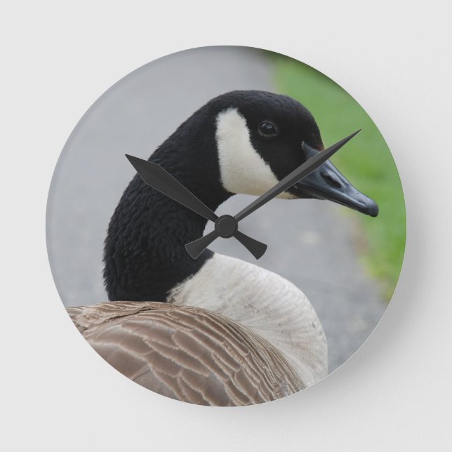 Canada goose runde wanduhr (Vorderseite)