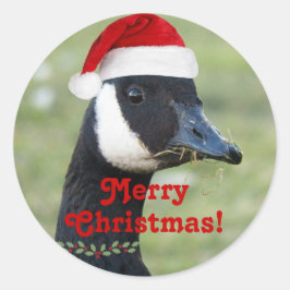 Canada Goose Wear Red Weihnachtsmannmütze Holiday Runder Aufkleber