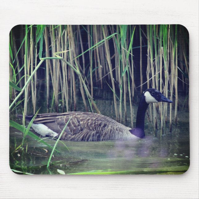Canada Goose Wildlife Nature Mousepad (Vorne)