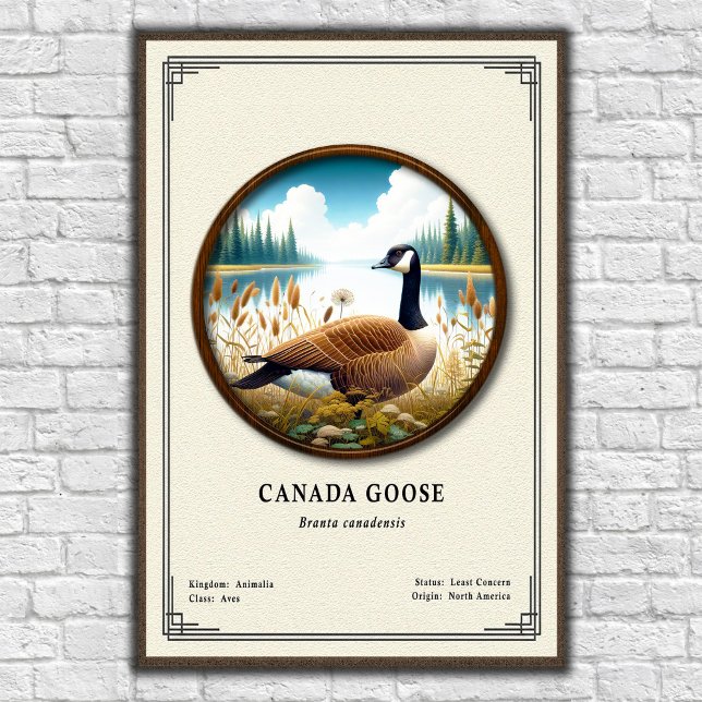Canada Goose Zoology Series Poster (Von Creator hochgeladen)