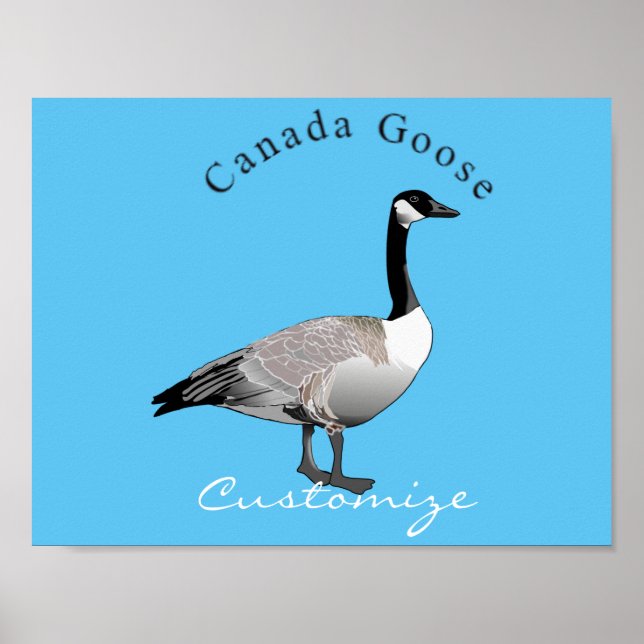 Canada Gose Gander Thunder_Cove Poster (Vorne)