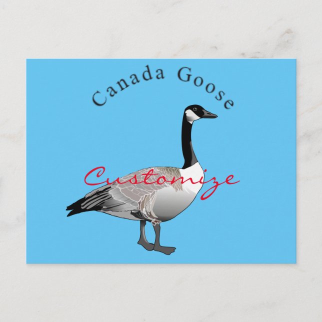 Canada Gose Gander Thunder_Cove Postkarte (Vorderseite)