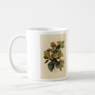 Canada Jay (Gray Jay) - Audubon's Birds of America Kaffeetasse
