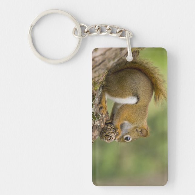 Canada, Nouvelle-Écosse, Halifax. Jardins publics, (Devant)