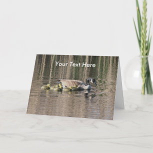Canada Oies et bébés Carte photo de la nature