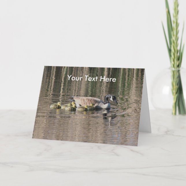Canada Oies et bébés Carte photo de la nature (Devant)