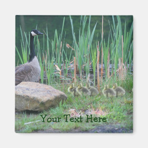 Canada Oies Maman Bébés Nature Photo Magnet