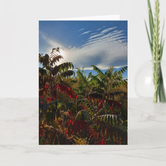 Canadian Autumn Colors Blank Card Karte (Vorderseite)