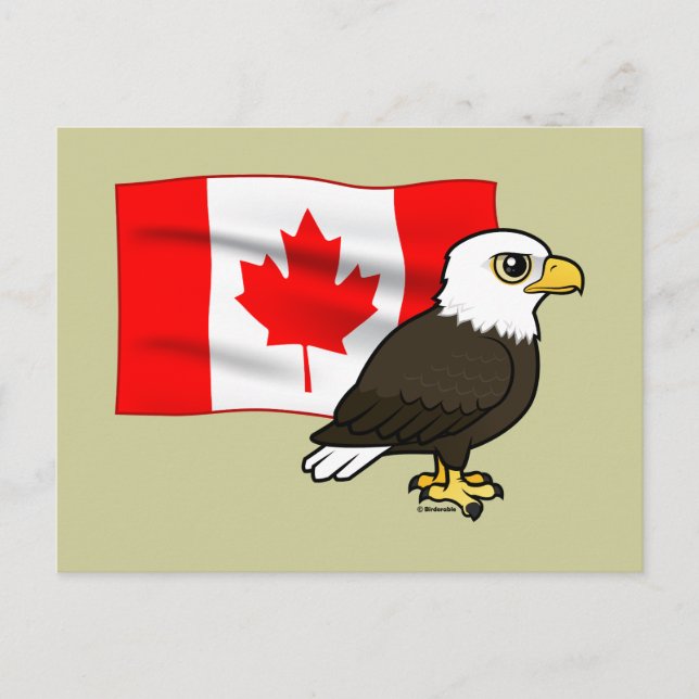 Canadian Bald Eagle Postkarte (Vorderseite)