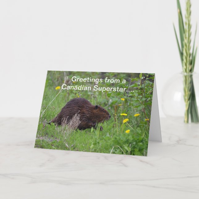 Canadian Beaver Funny Wildlife Grußkarte Karte (Vorderseite)