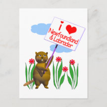 Canadian Beaver Lieben Neufundland, Labrador