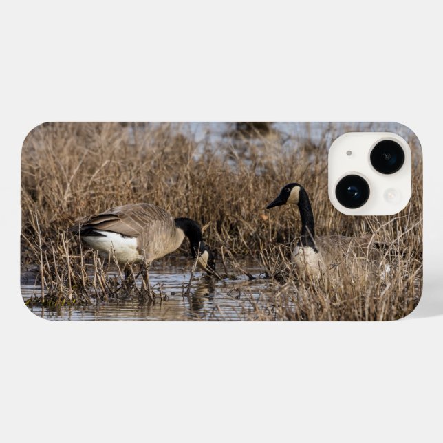 Canadian Gänse Snack Time iPhone Case (Rückseite (Horizontal))