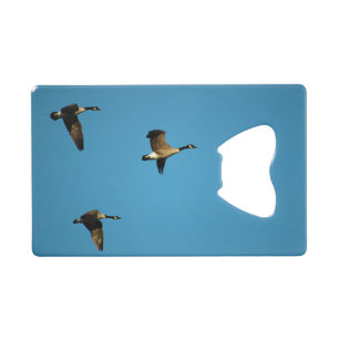Canadian geese
