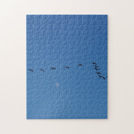 Canadian geese in flight