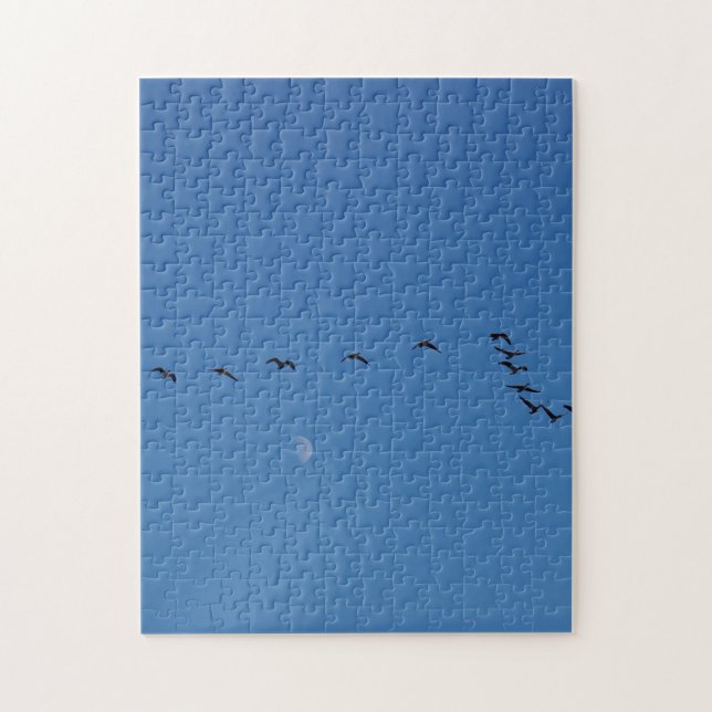 Canadian geese in flight (Vertikal)