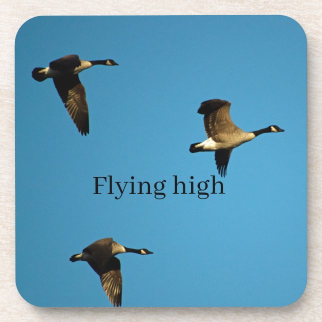 Canadian geese in flight getränkeuntersetzer (Vorderseite)