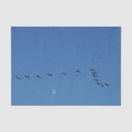 Canadian geese in flight seidenpapier