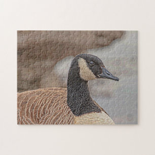 Canadian Goose Portrait