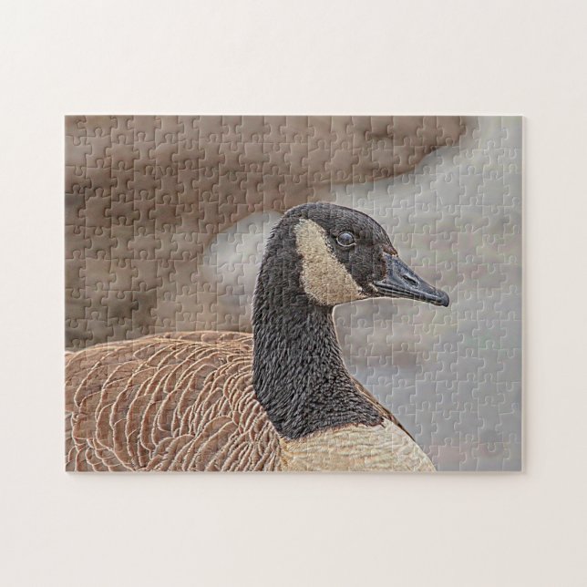 Canadian Goose Portrait (Horizontal)