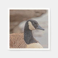 Canadian Goose Portrait