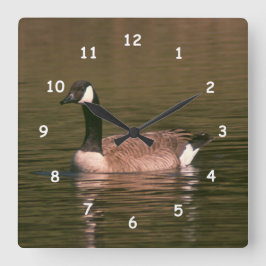 Canadian Goose Quadratische Wanduhr