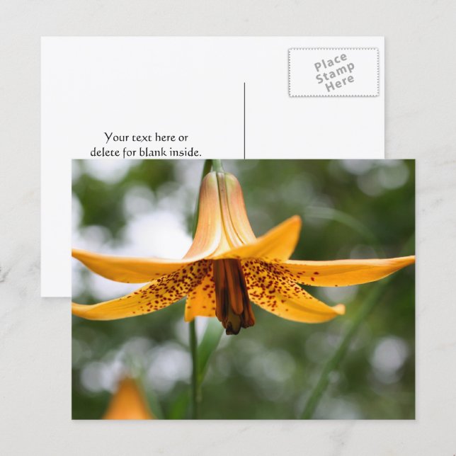 Canadian Lily Flower Photography Personalized Postkarte (Vorne/Hinten)