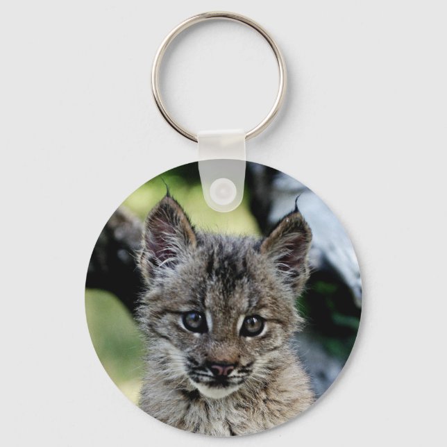 Canadian Lynx Kitten Schlüsselanhänger (Vorderseite)