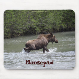 Canadian Moose Funny Wildlife Mousepad