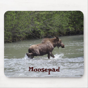 Canadian Moose Funny Wildlife Mousepad