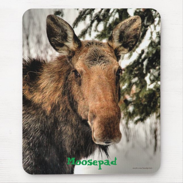 Canadian Moose Portrait Funny Wildlife Mousemat Mousepad (Vorne)