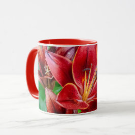 Canadian Stargazer Lily - Prosperity and Abundance Tasse