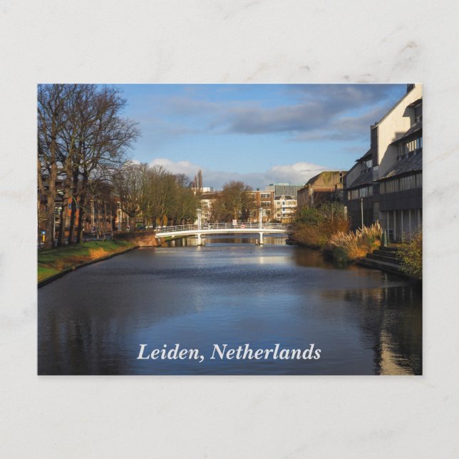 Canal à Leiden, Pays-Bas, Carte postale (Devant)