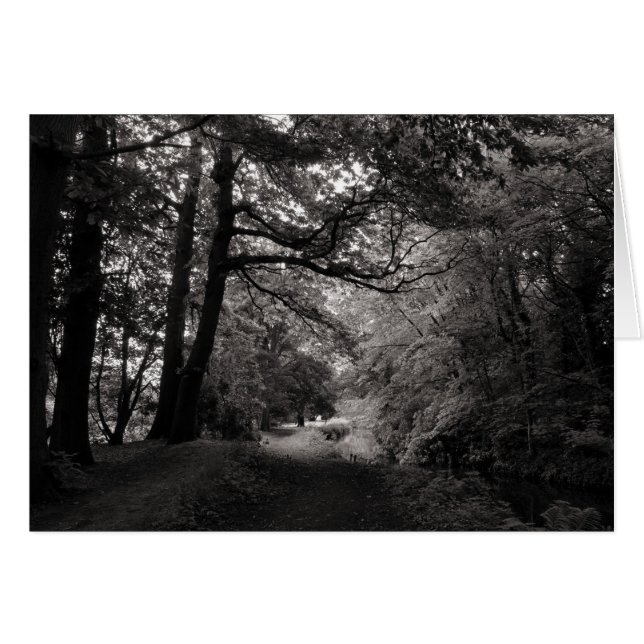 Canal, Bute Park, Cardiff, Pays de Galles (Devant horizontal)