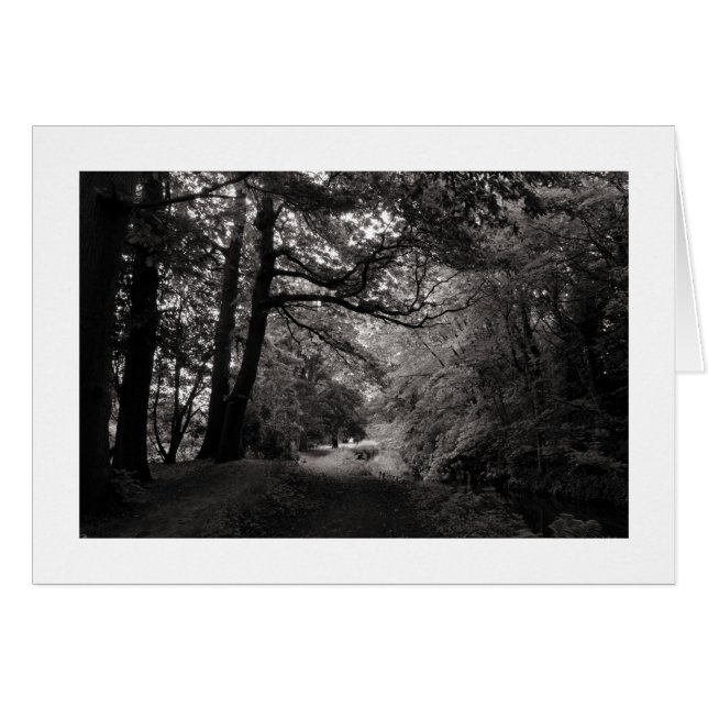 Canal, Bute Park, Cardiff, Pays de Galles (Bordé) (Devant horizontal)