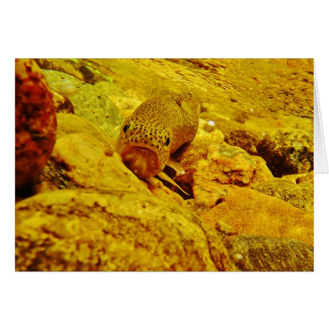 Canal en flux (Devant horizontal)