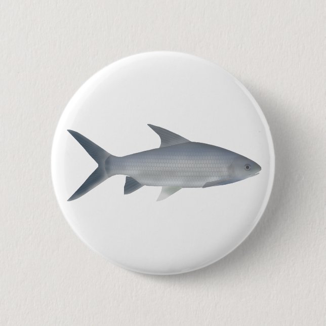 Canara Barb Button (Vorderseite)