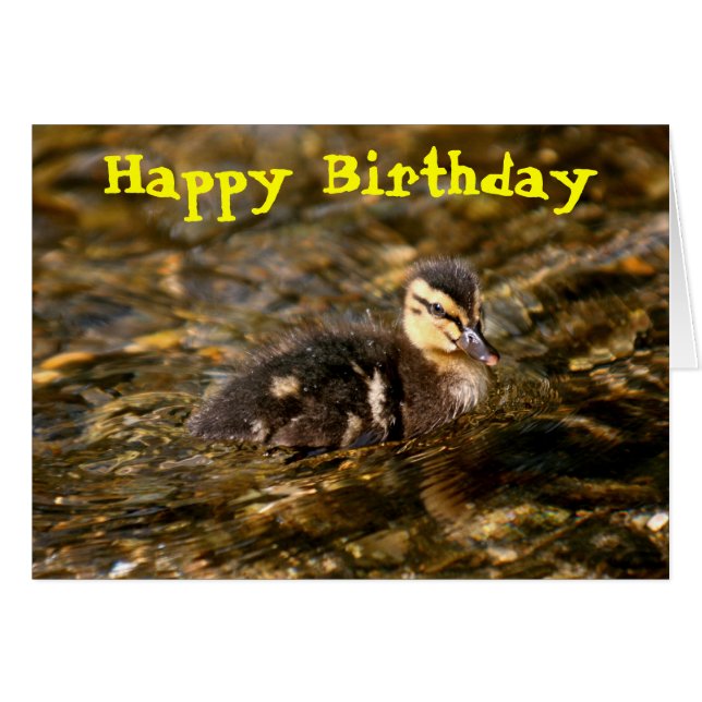 Canard (Devant horizontal)