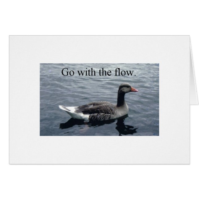 canard3 (Devant Horizontal)