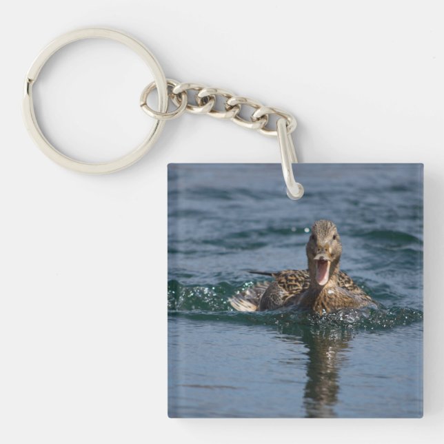 Canard avec bec ouvert (Devant)