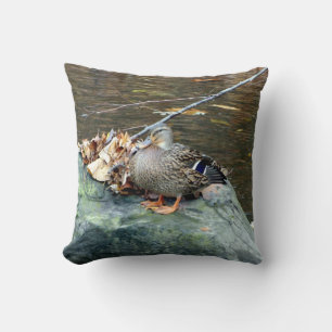 Canard de Mallard (femelle) sur le coussin moussu
