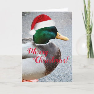 Canard de Mallard portant la carte de vacances Red